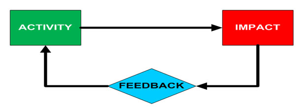 Activity - Impact - Feedback